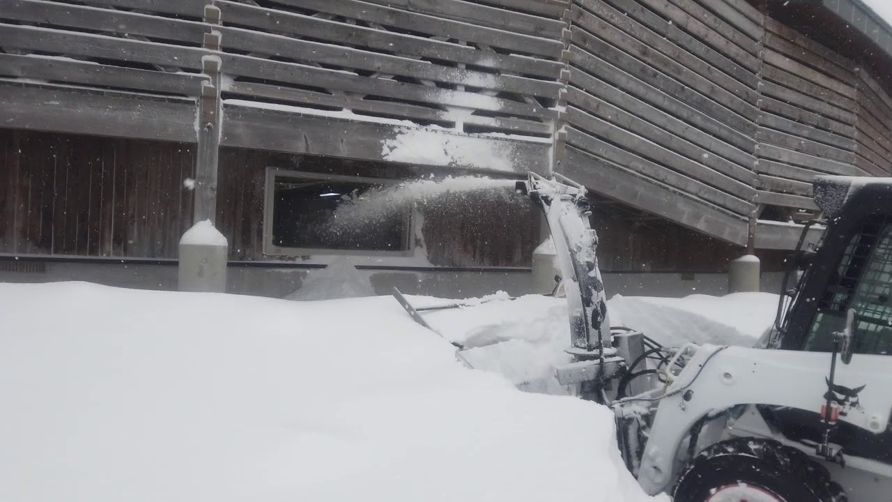 2020八甲田ゆきむろ雪入れ